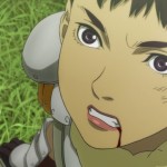 casca1