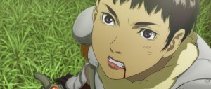 casca1