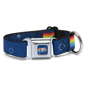 nyancat_seatbelt_buckle_dog_collar