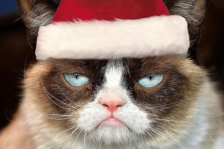 grumpy_cat_christmas_by_michu0022-d6z6lj6