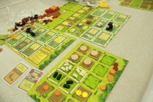 L'ancienne version du jeu Agricola (crédit photo : dailymars.net )
