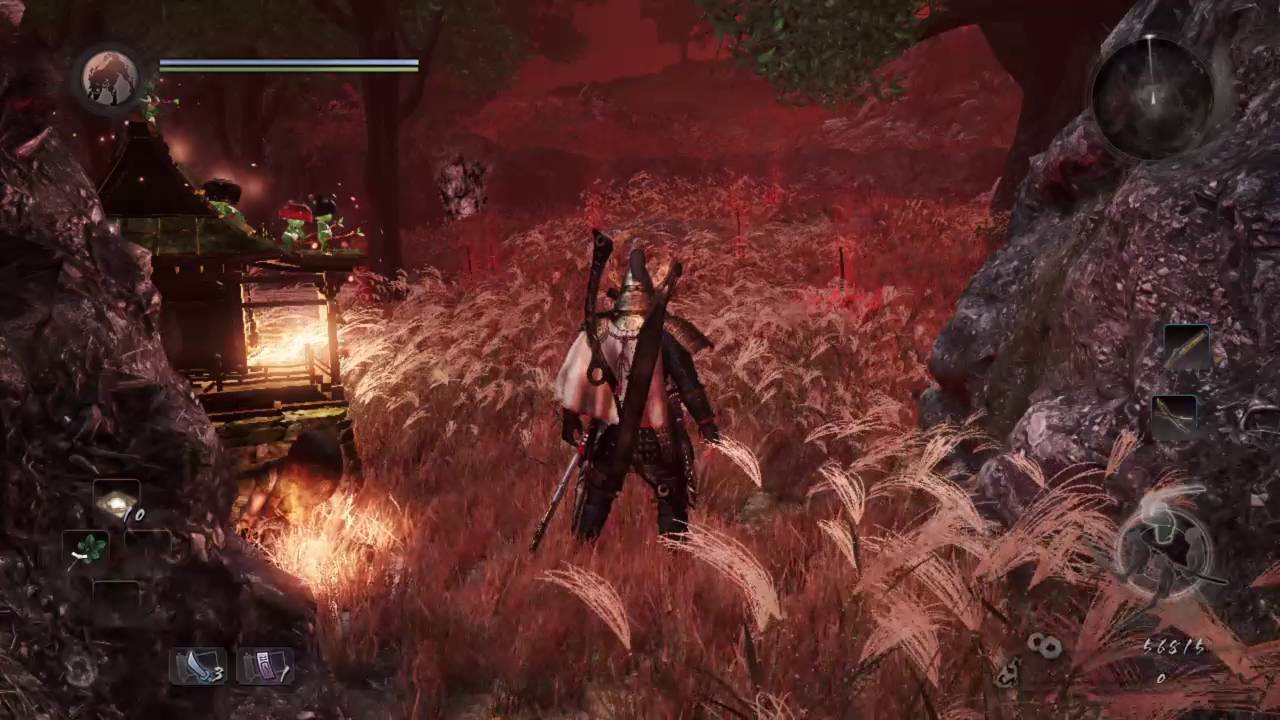 Nioh test