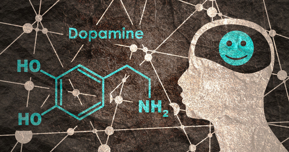 Image illustrant la dopamine