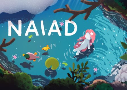 2x1_nswitchds_naiad_image1600w