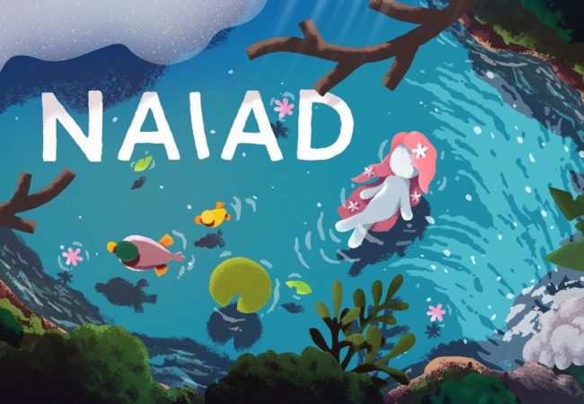 2x1_nswitchds_naiad_image1600w